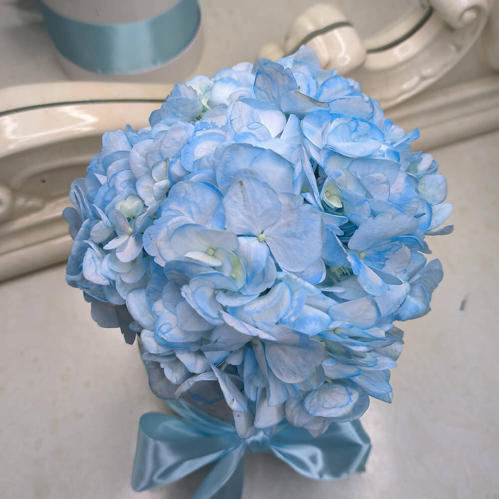 51 Голубая Гортензия